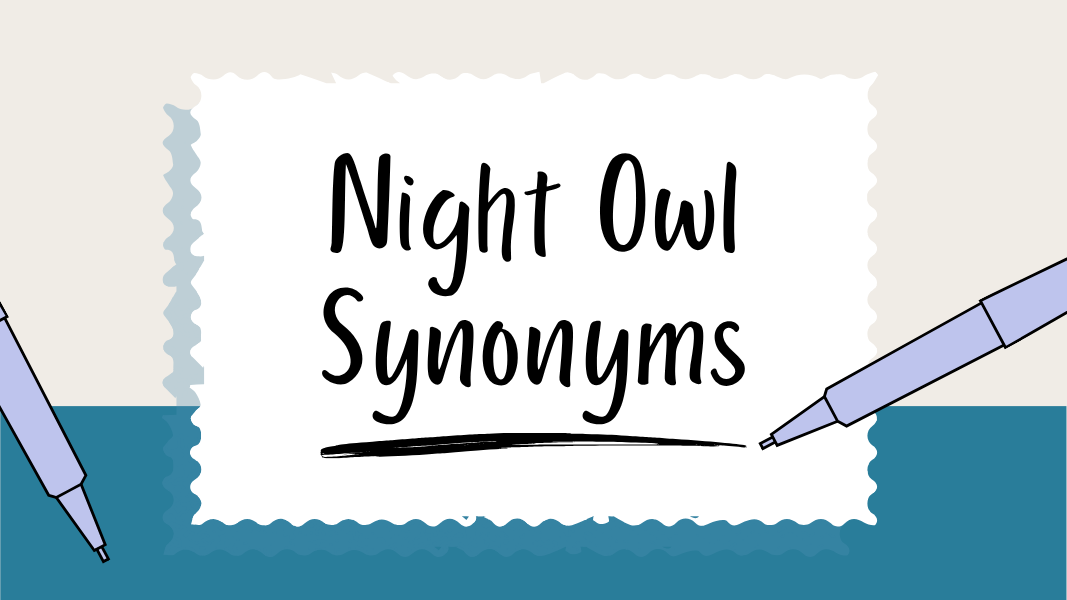 Night Owl Synonyms
